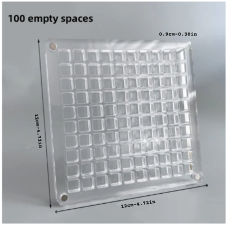 Esporre le tue conchiglie con stile e sicurezza