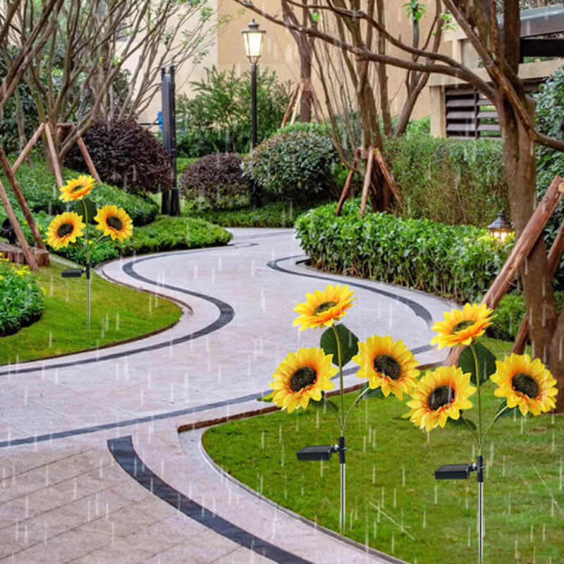 האירו את הגן שלכם עם חמניות שמש 