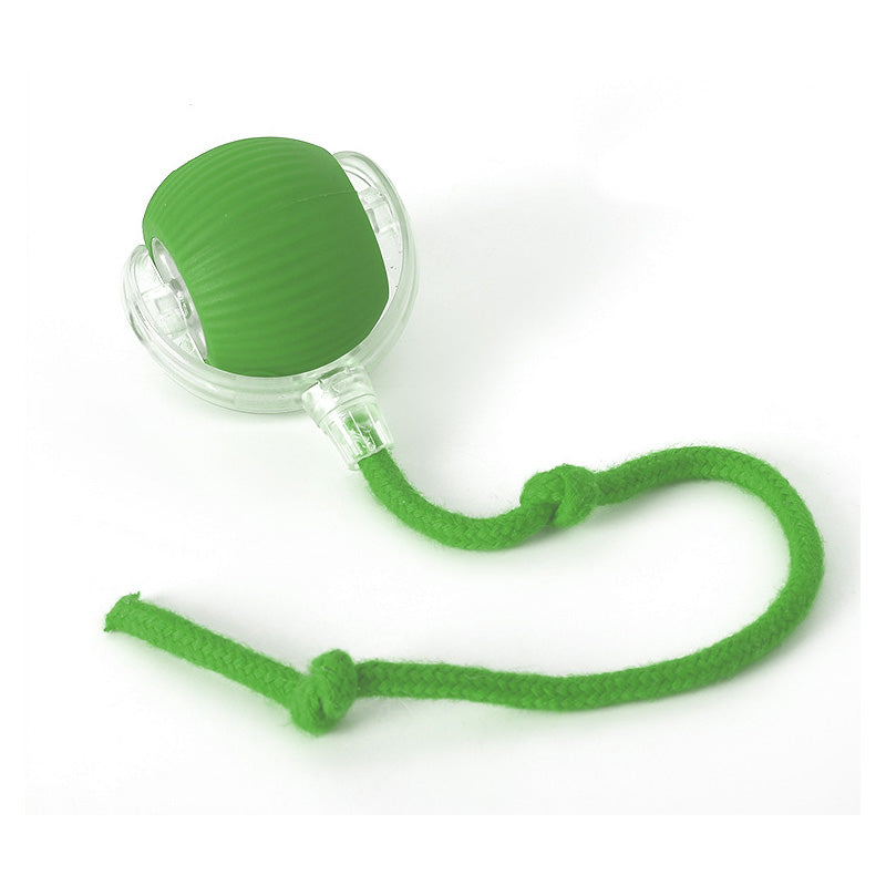 لعبة قفز للقطط النشيطة والفضولية 