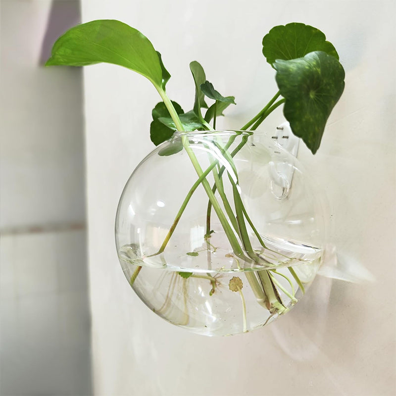 Fremhev plantene dine på veggene dine, uten å bore 