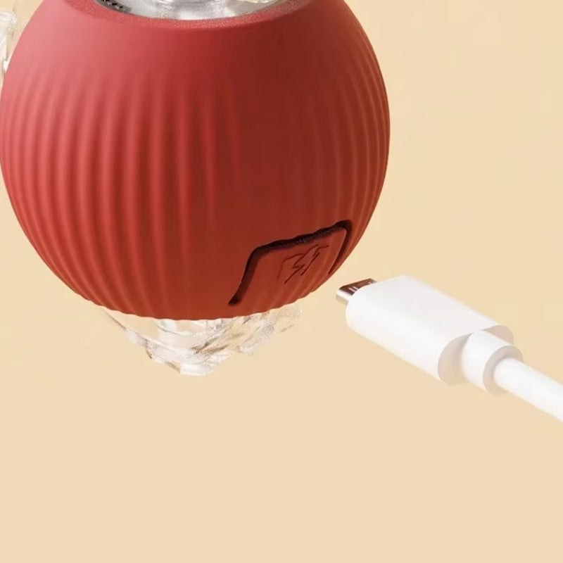 لعبة قفز للقطط النشيطة والفضولية 