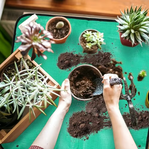 Gardez votre espace propre avec ce tapis de rempotage